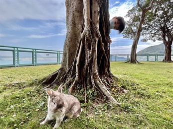 (新增) 城市‧友‧园‧人摄影比赛 - 亲子组